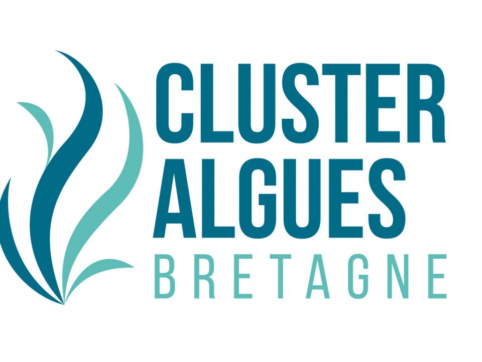 Logo adherent CLUSTER ALGUES BRETAGNE