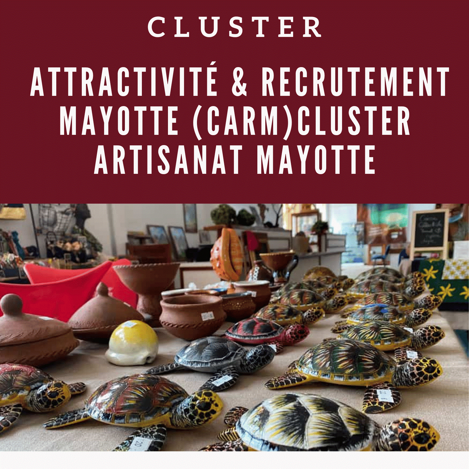 Logo adherent Cluster Artisanat, Mode et Design Mayotte